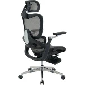 GHẾ LƯỚI CÔNG THÁI HỌC THE ONE GLE24